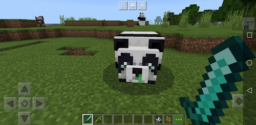 我的世界熊猫怎么繁殖