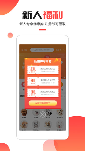 宠小宝截图2