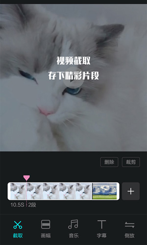 视频编辑王app截图2