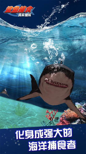 真实模拟鲨鱼捕食截图5