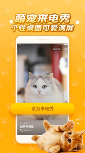 逗猫咪app截图2