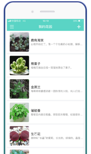 花信app特色