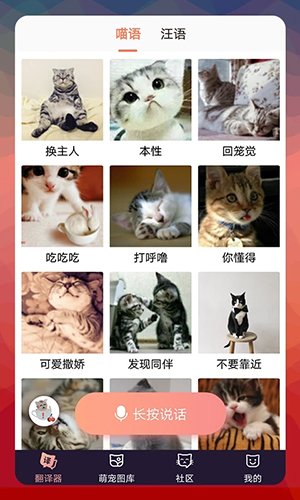 猫语翻译器app截图1