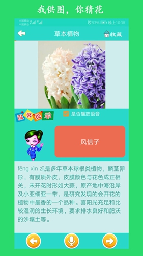 看图识花app截图3