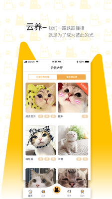 我要猫app截图3