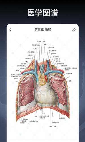 创序医考app截图2