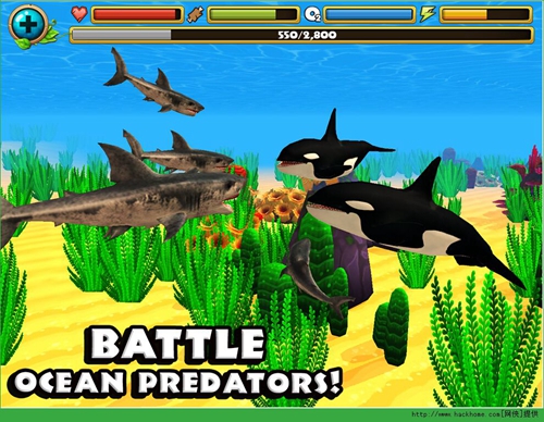 终极鲨鱼模拟器截图3