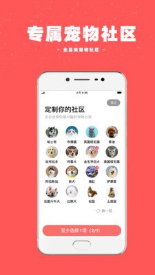 宠物王国app截图4