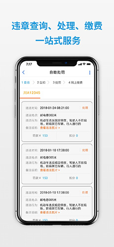 四川公安交警公共服务平台app截图3