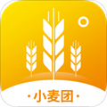 小麦团app