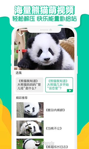 熊猫频道app截图4
