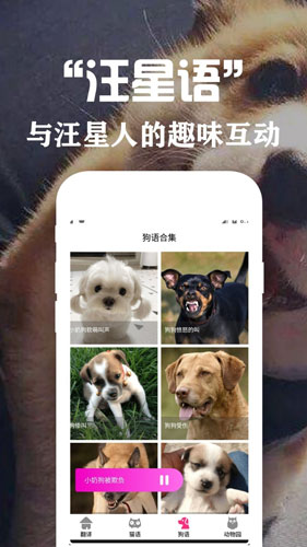 狗语翻译交流器app截图4