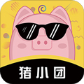 猪小团app