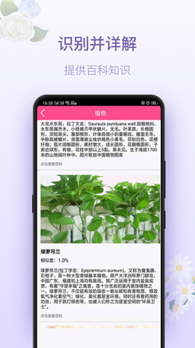 拍照识花神器app截图2