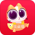 觅鱼猫app