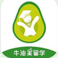 牛油果留学app