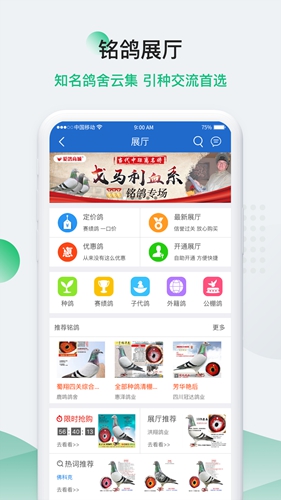 中国信鸽信息网app截图3