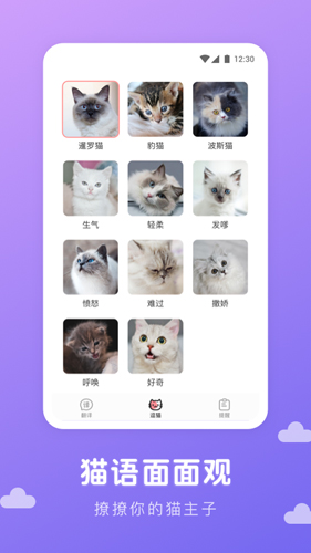 猫语翻译君APP截图2