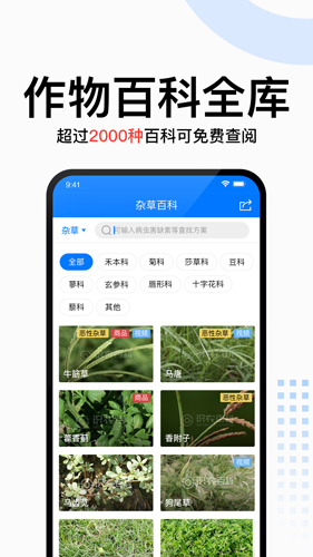 识农app截图4