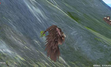 妄想山海秃鹫在哪 异兽位置介绍