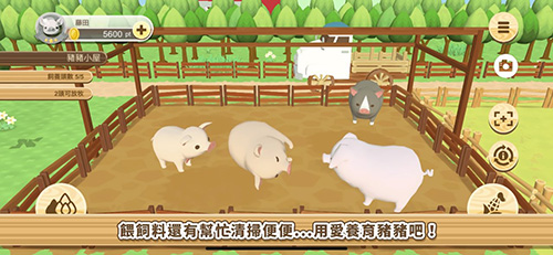 养猪场3D最新版截图1