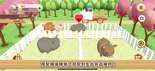 养猪场3D最新版截图2