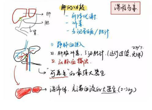 小幸福瑜伽app课程