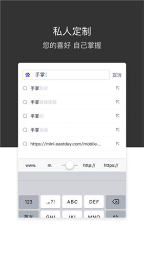 绿叶浏览器app截图4