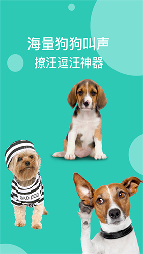 狗语翻译app截图1