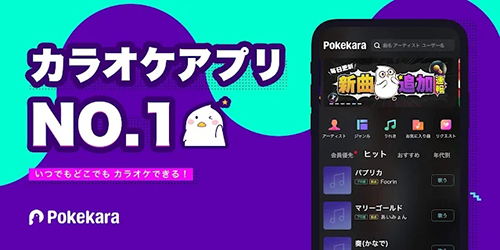 Pokekara app截图1