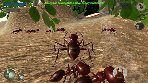 蚂蚁生存模拟器截图3