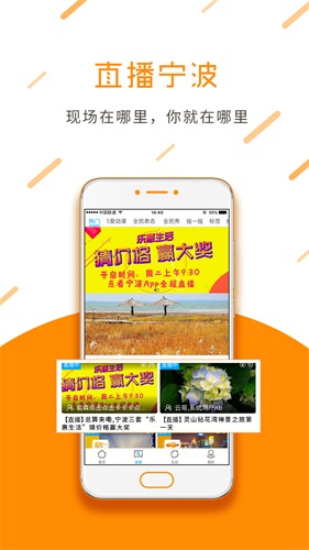 点看宁波app最新版截图2
