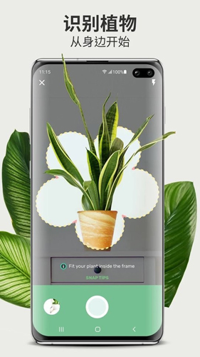 Blossom植物识别app截图3