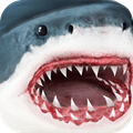 鲨鱼模拟器游戏