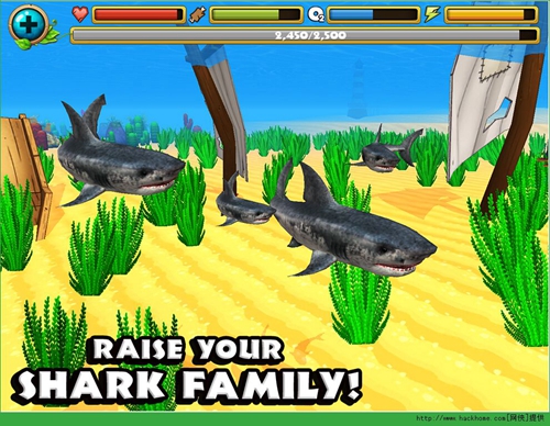 鲨鱼模拟器游戏截图1