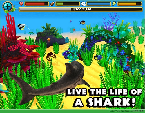 鲨鱼模拟器游戏截图2