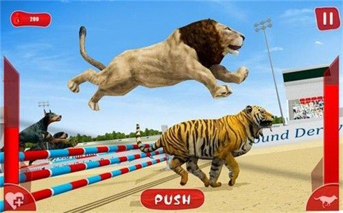 狮子赛跑3D截图2