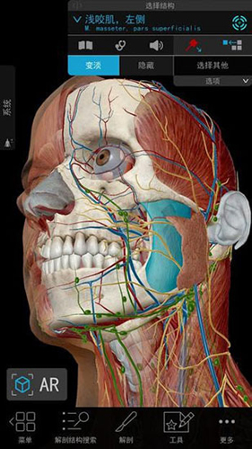 2020人体解剖学图谱app截图1