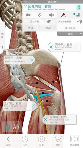 2020人体解剖学图谱app截图3