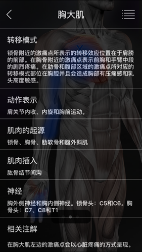 肌肉激痛点安卓中文版截图3