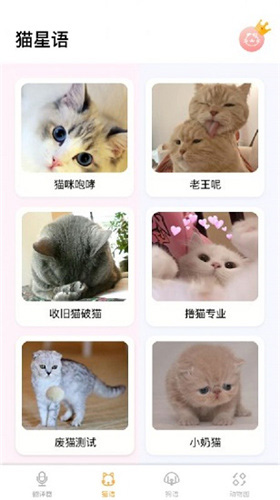 猫语翻译大师app截图2