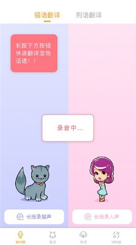 猫语翻译大师app截图3