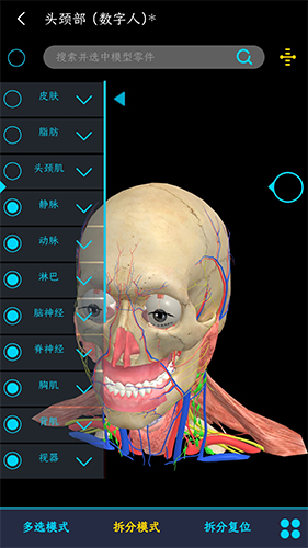 医维度3d人体解剖截图3