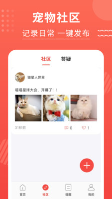 猫猫翻译器app截图5