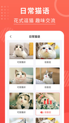 猫猫翻译器app截图4