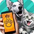 Pet Translator app