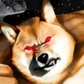 肌肉柴犬恐怖游戏中文版