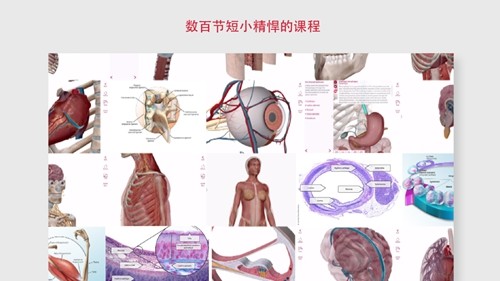 解剖和生理学安卓版截图2