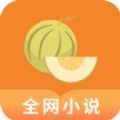 甜瓜小说阅读器app