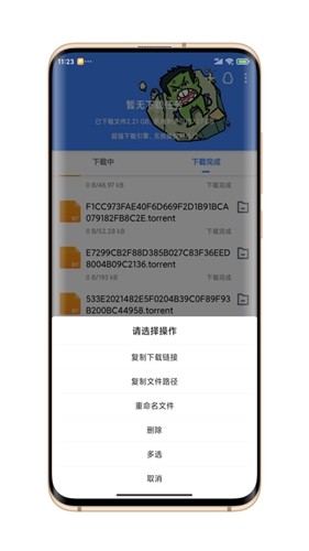 浩克下载器官方版截图1